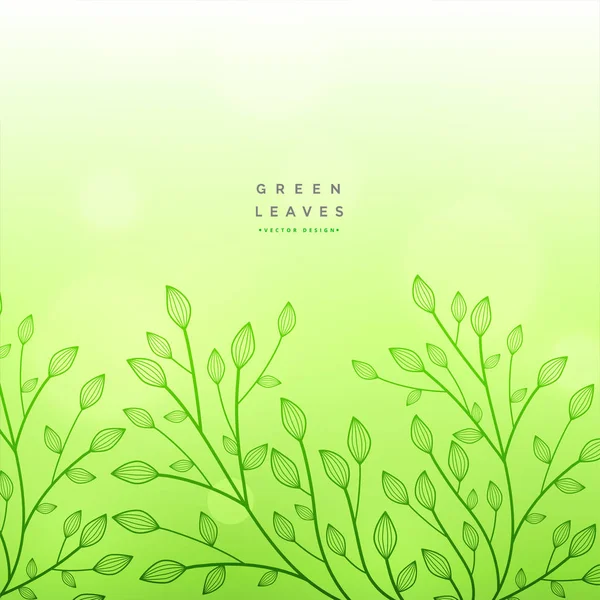 Vert floral beau fond design — Image vectorielle
