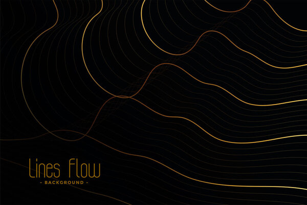 золотые контуры на черном фоне
