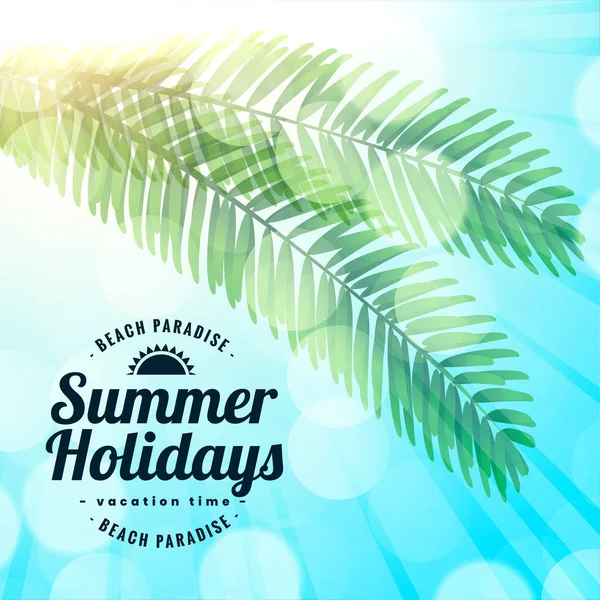 Vacances d'été plage paradis feuilles fond — Image vectorielle