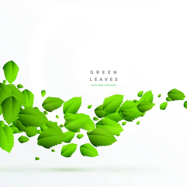 Isolated green leaves floating background — Stock Vector