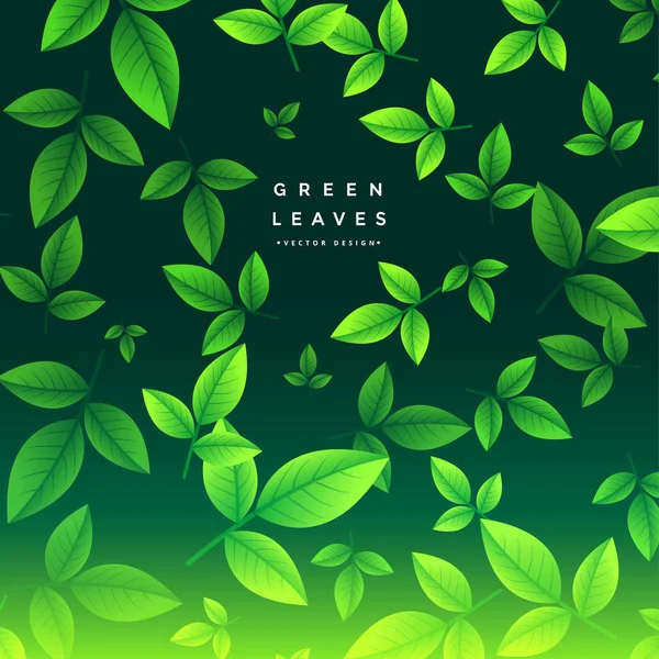 Awesome green tea leaves background — Stock Vector