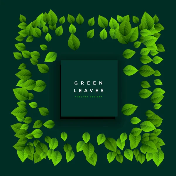 Charmant cadre feuilles vertes avec espace texte — Image vectorielle