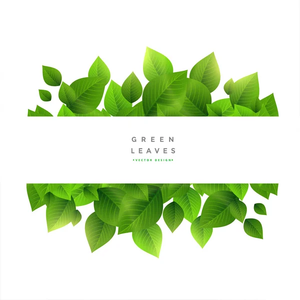 Stilvolle grüne Blätter Hintergrund mit Text-Leerzeichen — Stockvektor