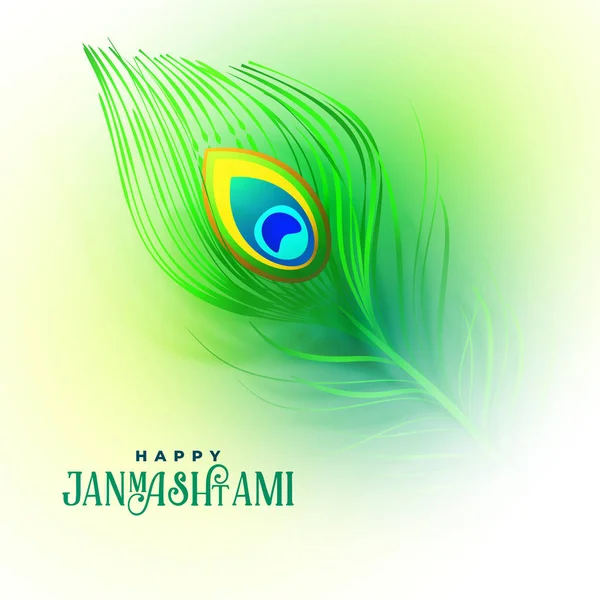 Pluma de pavo real para janmashtami feliz — Vector de stock