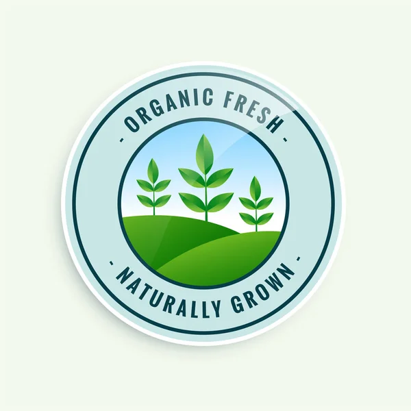 Diseño de etiquetas de alimentos orgánicos frescos de cultivo natural — Vector de stock