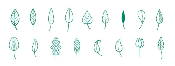 Línea Estilo Hojas Verdes Estilo Minimalista Colección — Vector de stock