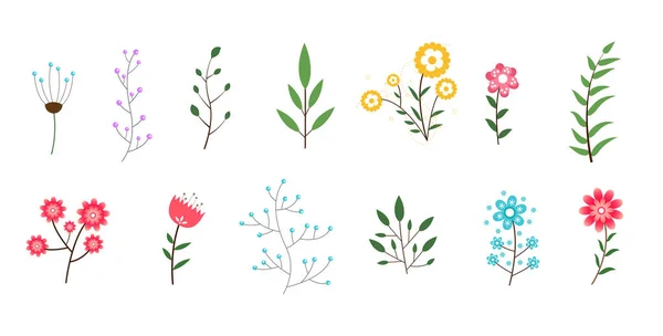 最小的花卉和树叶收藏装饰设计 — 图库矢量图片