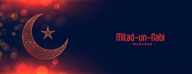 Parlayan milad un nabi Mübarek ay ve yıldız bayrağı