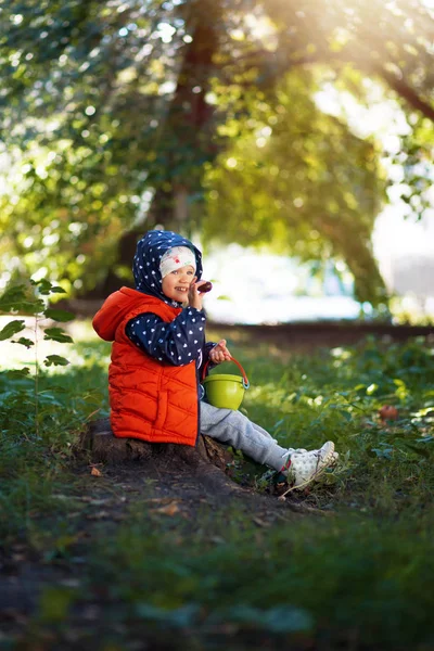 Charming girl 2-3 years old in wood on autumn sunny day, sitting on stump trunk. Girl in blue jacket with a hood and orange down vest, holds a small bark with chestnuts. Full length portrait on a blurred background of nature