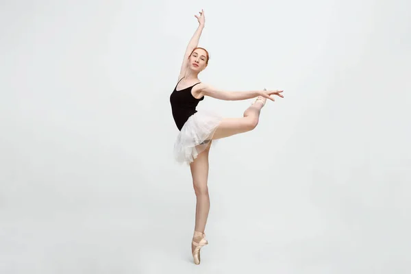 Młoda i niewiarygodnie piękna baletnica stwarza i tańczy w jasnym, szarym studiu pełnym światła. Zdjęcie znacznie odzwierciedla nieporównywalne piękno klasycznej sztuki baletowej. Kopiuj przestrzeń — Zdjęcie stockowe