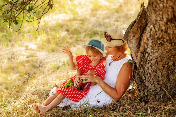 Счастливая бабушка с внучкой проводят вместе время, обнимаясь летом на открытом воздухе. Отдых под деревом едят ягоды и яблоки. Семейное и здоровое питание — стоковое фото