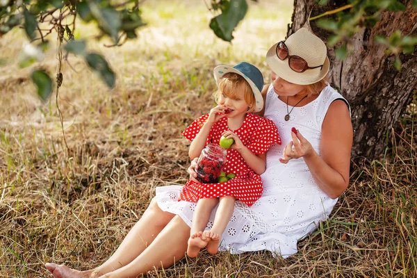Счастливая бабушка с внучкой проводят вместе время, обнимаясь летом на открытом воздухе. Отдых под деревом едят ягоды и яблоки. Семейное и здоровое питание — стоковое фото
