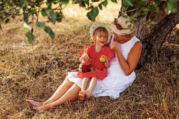 Happy grandmother with granddaughter spend a fun time hugging together in summer outdoors. Rest under a tree eat berries and apples. Family and healthy food