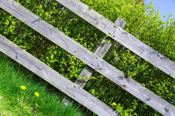 Starý dřevěný šedý plot zakrývající zelený křovinořez ve vesnici na venkově. Diagonální fotografie, dobré pozadí — Stock fotografie