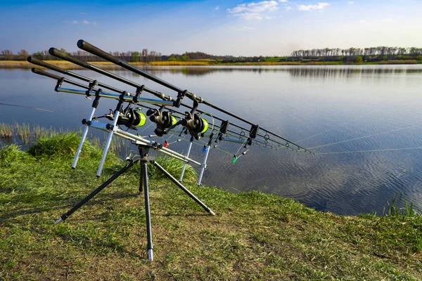 Carp fishing rods standing on rod pod near the lake during sunrise. Morning fishing on the lake under blue sky — Stock Photo, Image