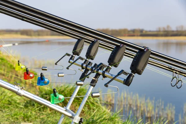 Carp fishing rods with carp bite indicators set up on rod pod near lake river. Fishing during sunset