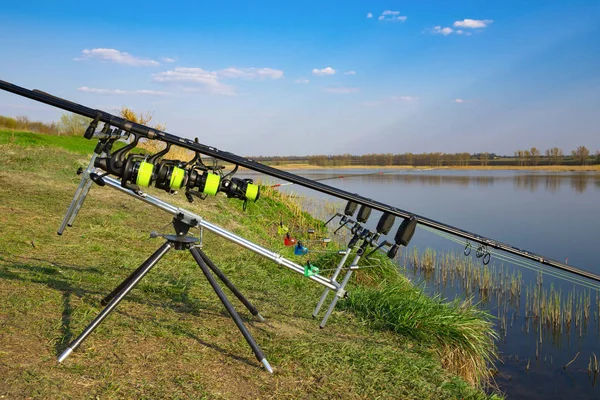 Carp fishing rods with carp bite indicators and reels set up on rod pod near lake river. Fishing during sunset