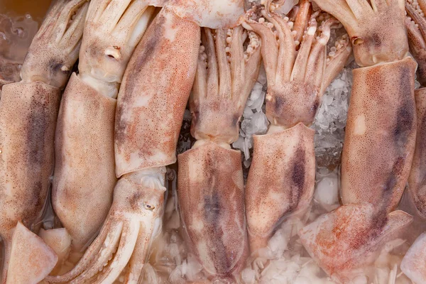 Calamari Crudi Sul Ghiaccio Mercato Del Pesce Strada Alimenti Biologici — Foto Stock