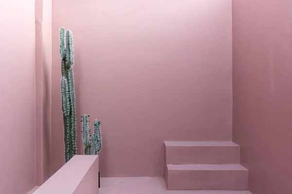 Entrance Workshop Stylish Pink Walls Stairs Cactus — Stock Photo, Image