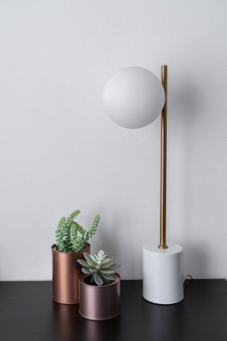 oturma odasında dekorasyon olarak yapay bitkiler ve lamba 