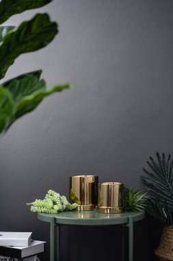 yapay bitkiler ile oturma odası rahat köşe iç  