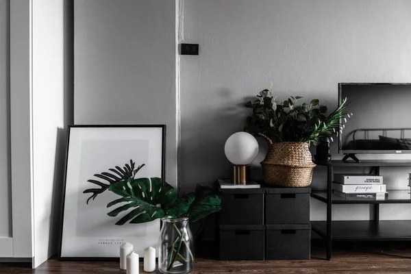 Stylish minimalist living room with green plants