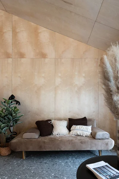 Stylish Living Corner Velvet Tan Color Sofa Setting Soft Pillows — Stock Photo, Image