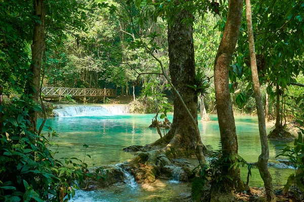 Kuang si Cascade à Luang Prabang. Laos. Paysage 2019 — Photo