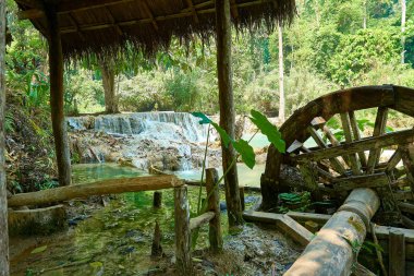 Luang Prabang'deki Kuang si Şelalesi. Laos. 2019 Peyzaj