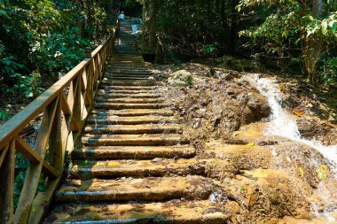 Luang Prabang'deki Kaygan Merdiven. Laos. Kuangsi Şelalesi