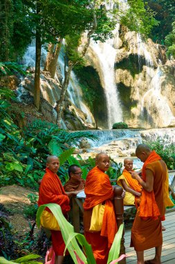 Luang Prabang. Laos. 04.20.2019. Bir grup keşiş Kuang Si Şelalesi'ni ziyaret etti