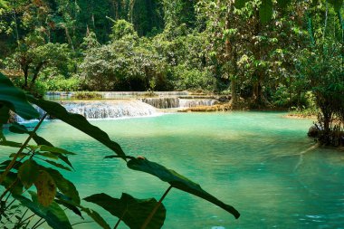 Luang Prabang'deki Kuang si Şelalesi. Laos. 2019 Peyzaj