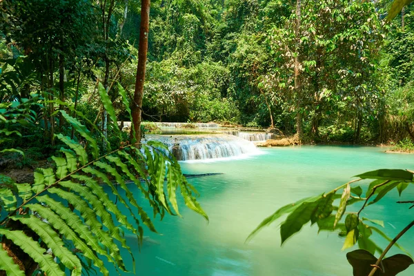 Kuang si Cascade à Luang Prabang. Laos. Paysage 2019 — Photo