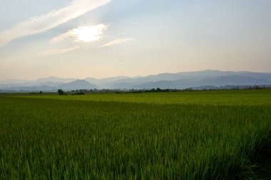 Dien Bien Phu Kuzey Vietnam doğa Manzara.