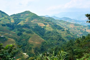 Kuzey Vietnam Dağı'ndaki pirinç tarlaları. Ha Giang döngü güzel manzara görünümü . Motosiklet gezisi