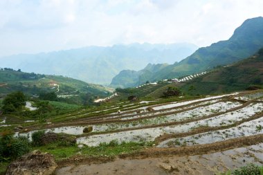 Kuzey Vietnam Dağı'ndaki pirinç tarlaları. Ha Giang döngü güzel manzara görünümü . Motosiklet gezisi
