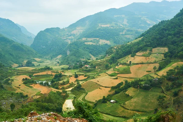Kuzey Vietnam Dağı'ndaki pirinç tarlaları. Ha Giang döngü güzel manzara görünümü . Motosiklet gezisi