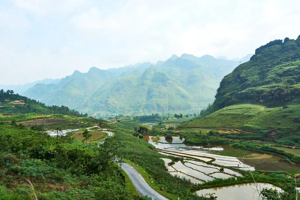 Rýžová pole v hoře Severního Vietnamu. Krásná krajina na Hgiangské smyčce. Výlet na motocykl — Stock fotografie