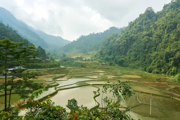 Des rizières dans la montagne du nord du Vietnam. Belle vue paysage sur la boucle Ha Giang. Voyage à moto — Photo