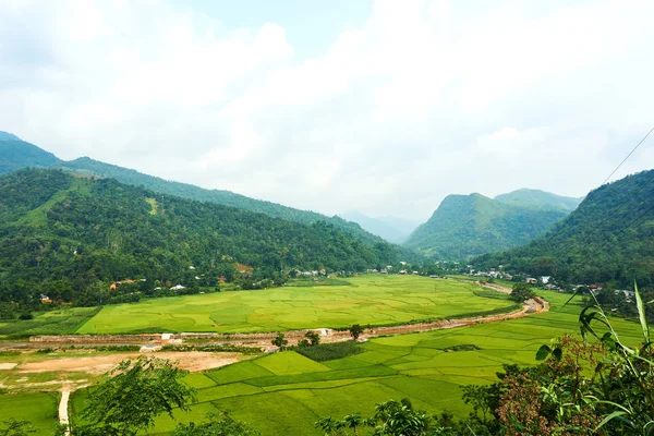 Campos de arroz na Montanha do Norte do Vietname. Bela paisagem vista sobre o loop Ha Giang. Viagem de moto — Fotografia de Stock