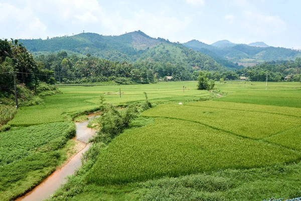 Des rizières dans la montagne du nord du Vietnam. Belle vue paysage sur la boucle Ha Giang. Voyage à moto — Photo