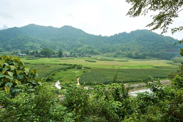 Paysage montagneux du nord Vietnam. Belle vue sur la boucle Ha Giang au nord du Vietnam. Voyage à moto — Photo
