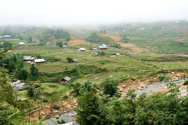 Fogy landschap van rijstvelden in Lao Chai Sapa valey in Vietnam. Sapa, Vietnam.-22. Mai. 2019. — Stockfoto