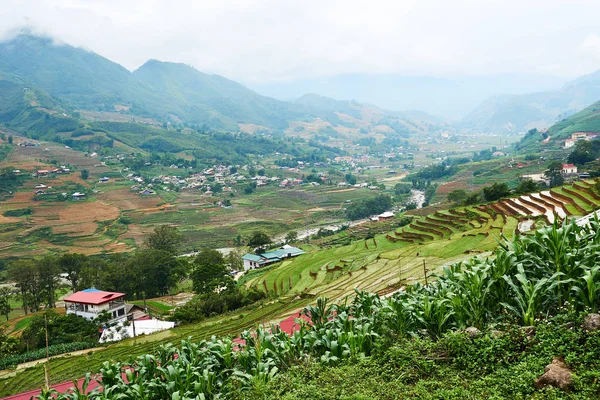 Fogy Landscape of Ricefields in lao chai sapa valey in Vietnam. Sapa, Vietnam.- 22. Mai. 2019. — Stock Photo, Image