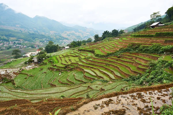 Fogy Paysage de Ricefields dans lao chai sapa valey au Vietnam. Sapa, Vietnam.- 22. Mai. 2019 . — Photo