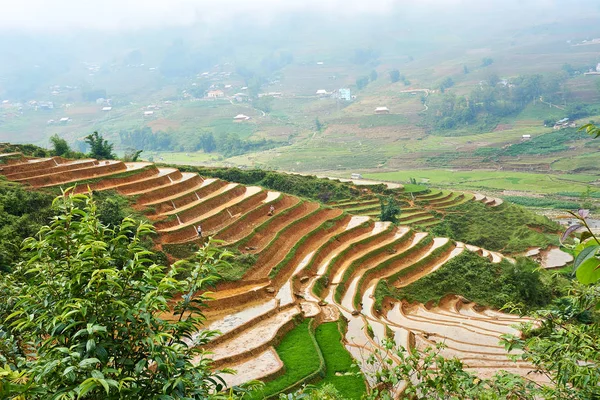 Sapa, Vietname. - 22. Mai... 2019. A população local trabalha em ricefield em lao chai sapa valey no Vietnã . — Fotografia de Stock