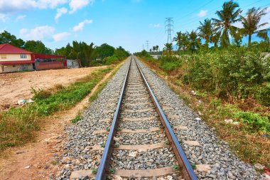 demiryolu tren rayları palmiye ağaçları ile ufka gidiyor