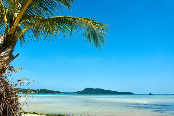 좋은 화창한 여름 날에 팜 비치. 코 롱 산로엠 섬, 사라센 베이. 캄보디아, 아시아 — 스톡 사진
