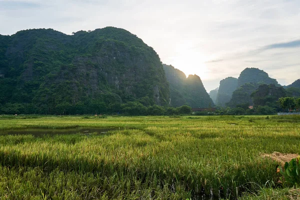 Landschaft mit Bergen und Reisfeld in tam coc vietnam. — Stockfoto