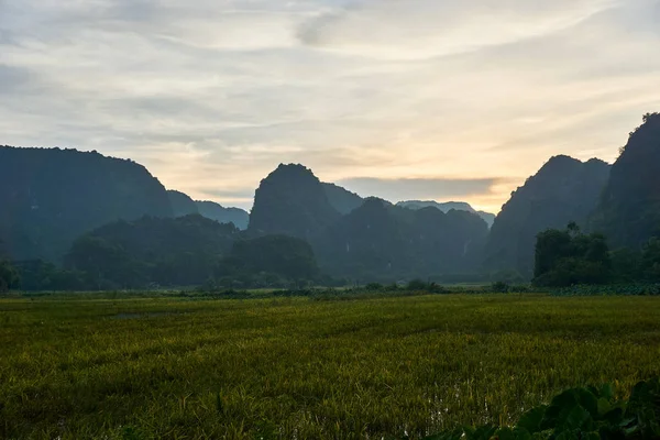 Krajina s horami a rýžovým polem v tam COC Vietnam. — Stock fotografie